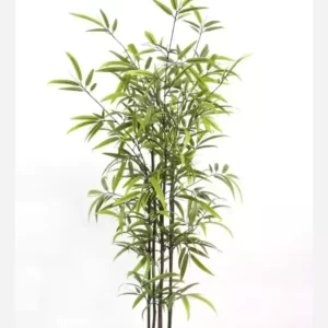 Bamboo 1,40m