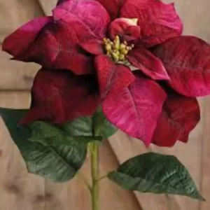 Estrella federal vara 90cm