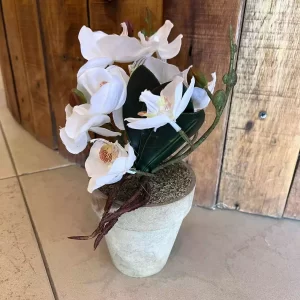 Maceta cemento con orquídeas