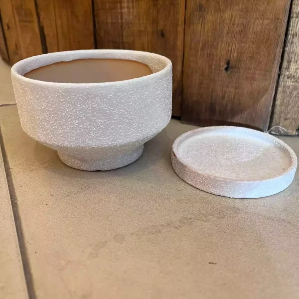 WhatsApp Image 2026-01-06 at 13.05.27