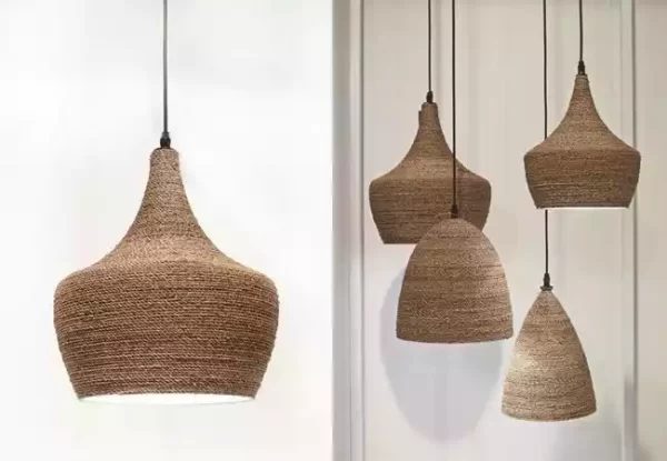 WhatsApp Image 2026-01-06 at 16.30.54