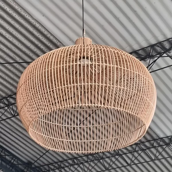 imgi_137_D_Q_NP_701746-MLA96546550775_102025-F