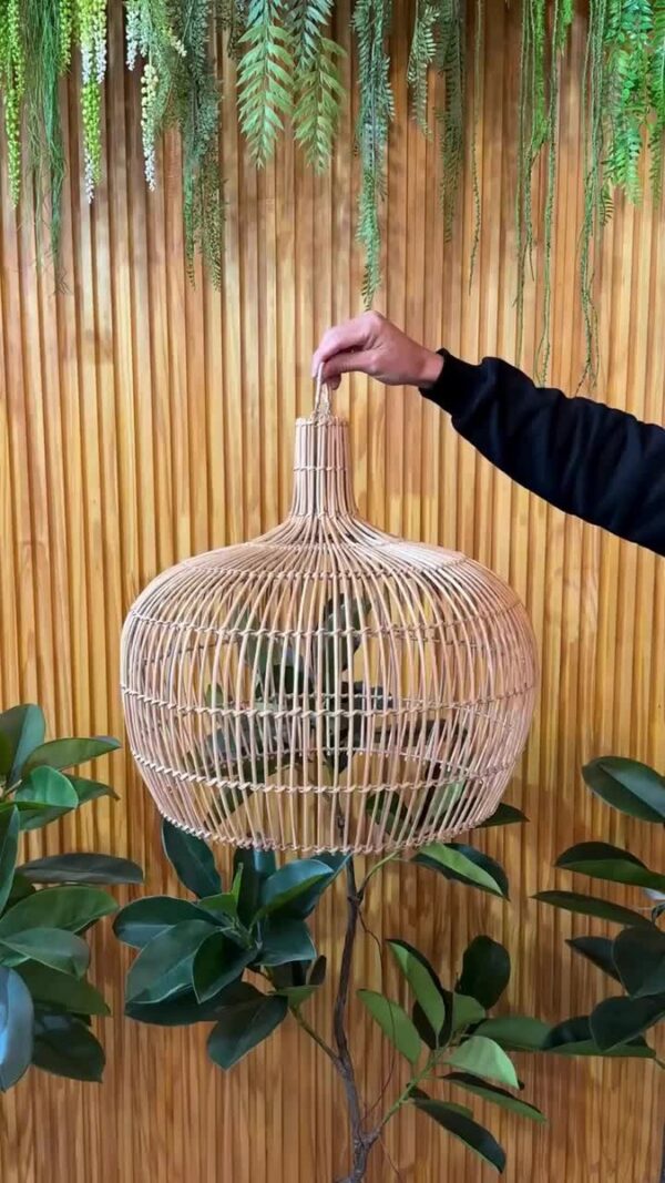 imgi_9_D_NQ_NP_746146-MLA85928775724_062025-F